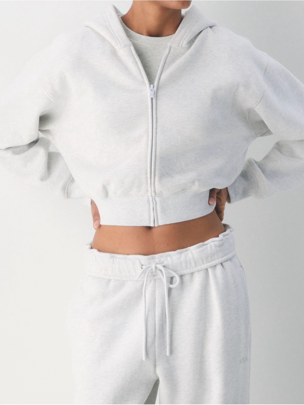 Aritzia Cozy Fleece Mega Cropped Zip Hoodie XS Grey